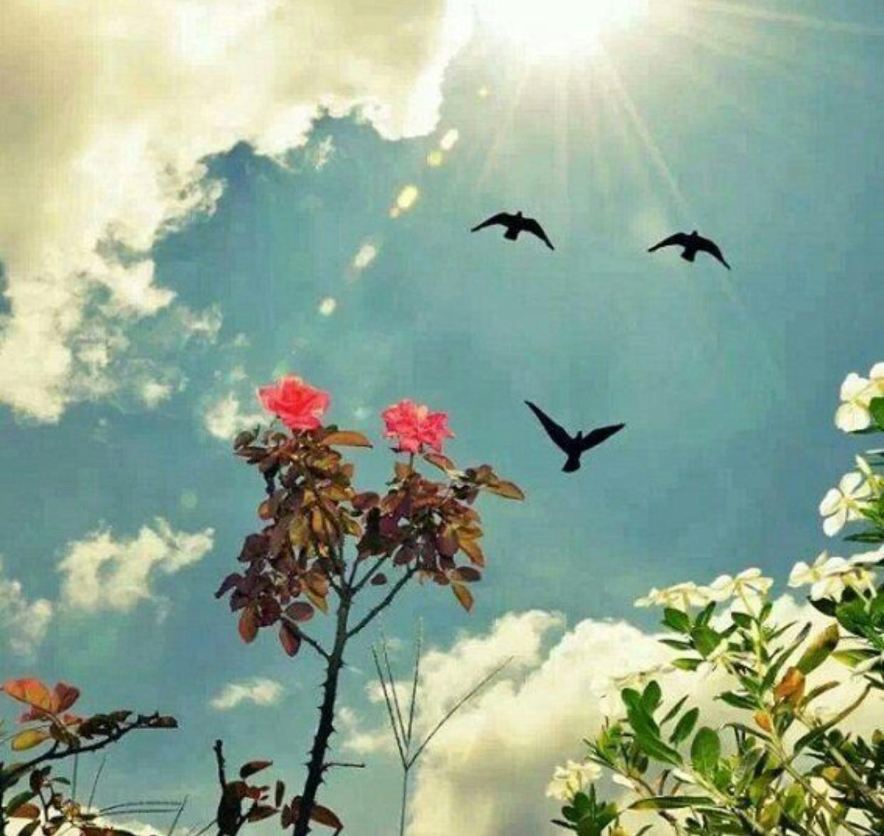 صورة عضو هيئة التدريس