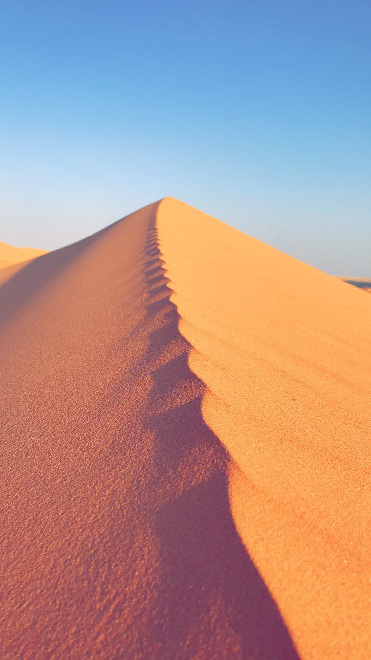 صورة عضو هيئة التدريس